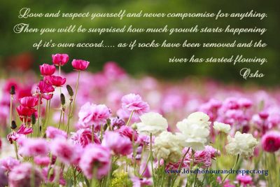 love and respect yourself