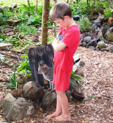 child abuse physical emotional sexual